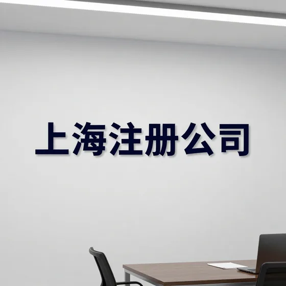 上海注册公司新手入门攻略(2026-09-03)